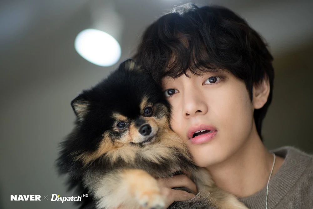 Taehyung posing with Yeontan. Tae is holding him up to his face
