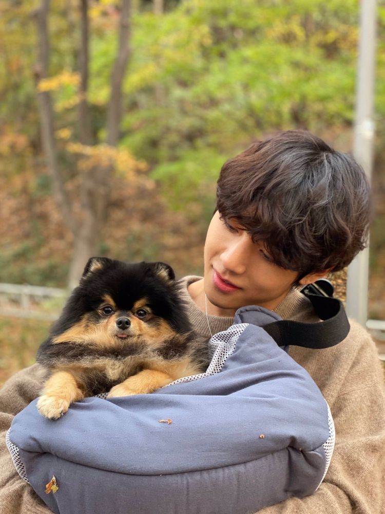 Taehyung holding up and gazing fondly at Yeontan who's sitting in a bag. He does a little blep