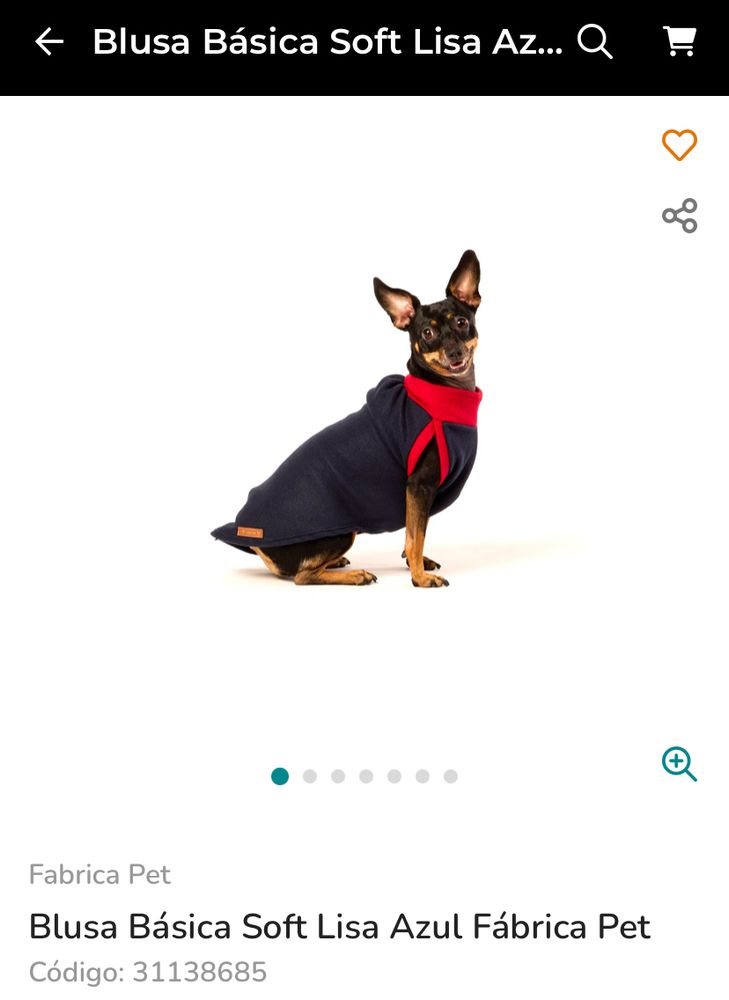 cachorro pequeno vestindo roupa 
