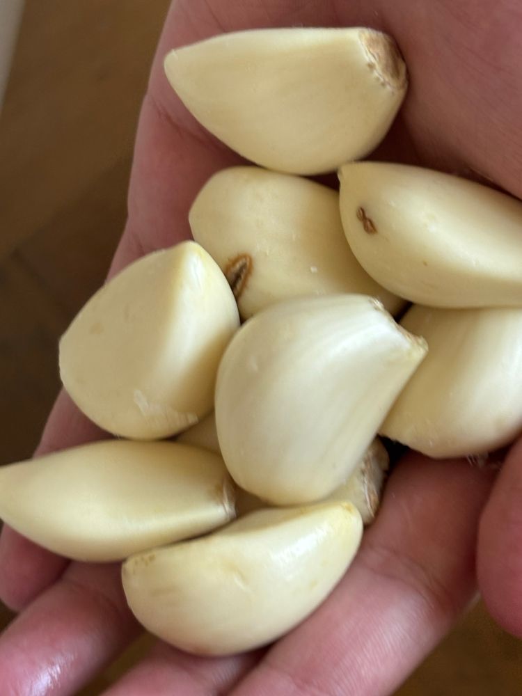 Eine handvoll riesiger Knoblauchzehen