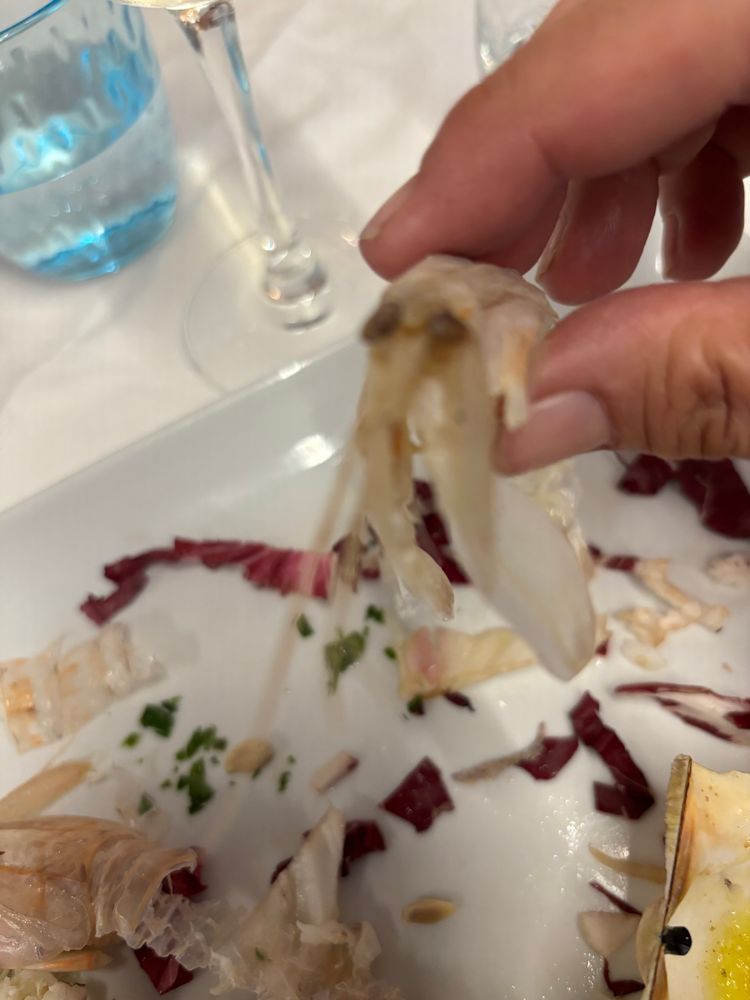 Gesicht des merkwürdigen Tiers