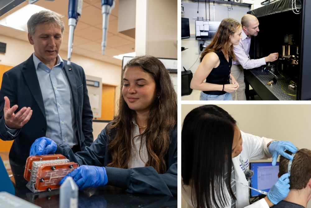 A collage of scientists working in research labs.