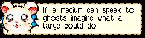 Montagem da bolha de texto do jogo hamtaro ham ham heartbreak com a personagem bijou dizendo "if a medium can speak to ghosts imagine what a large could do"