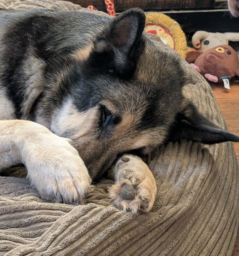 Ronan throwing a temper tantrum 