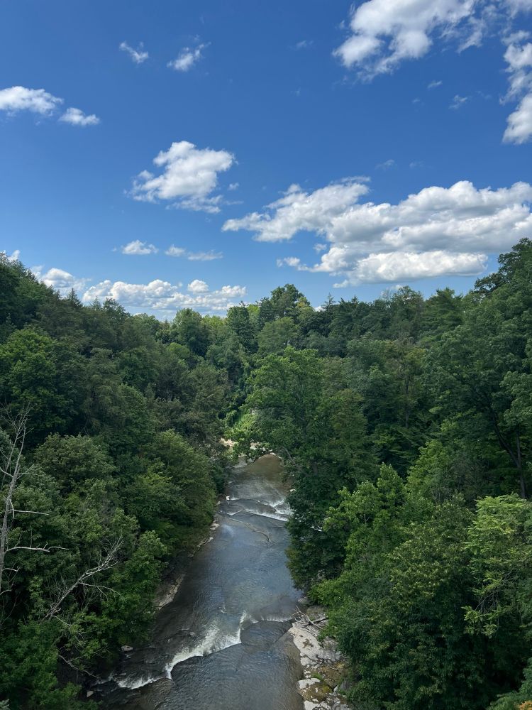 Gorgeous river running between trees as seen from above. Blue sky and puffy clouds. This photo taken on the Cornell campus. 