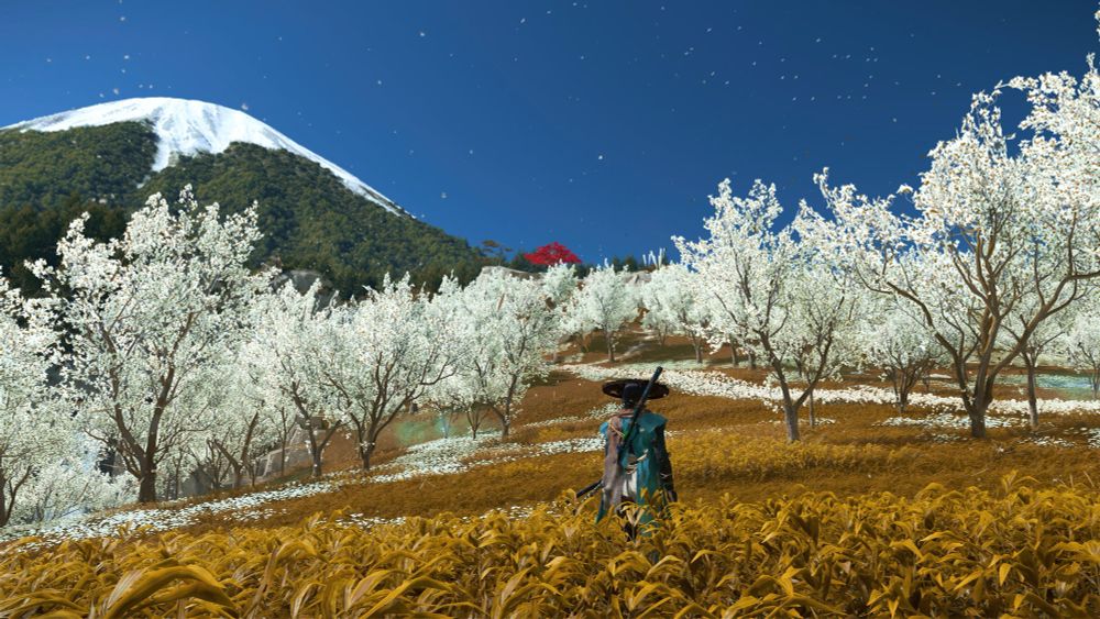 Screen shot of the game Ghost of Yotei. Picture includes a green mountain off in the distance with snow at the peak. White trees surrounded the area while Atsu stands in the middle of golden colored grass. 