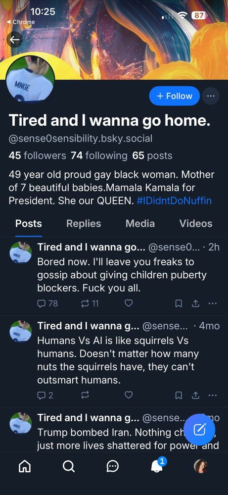 Screen shot of a Bluesky account 