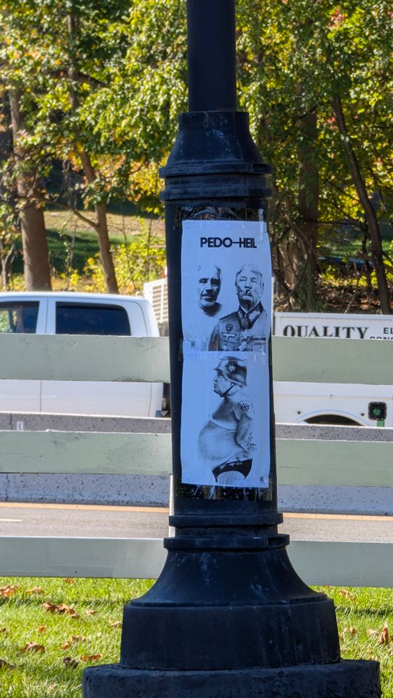 A picture of Jeffrey Epstein and Trump standing together, Epstein is shirtless and Trump is in a Nazi uniform with his lips puckered and the words "pedo- heil"  printed above it; and the second picture is a profile shot of trump in speedo-type underwear and a German style helmet.