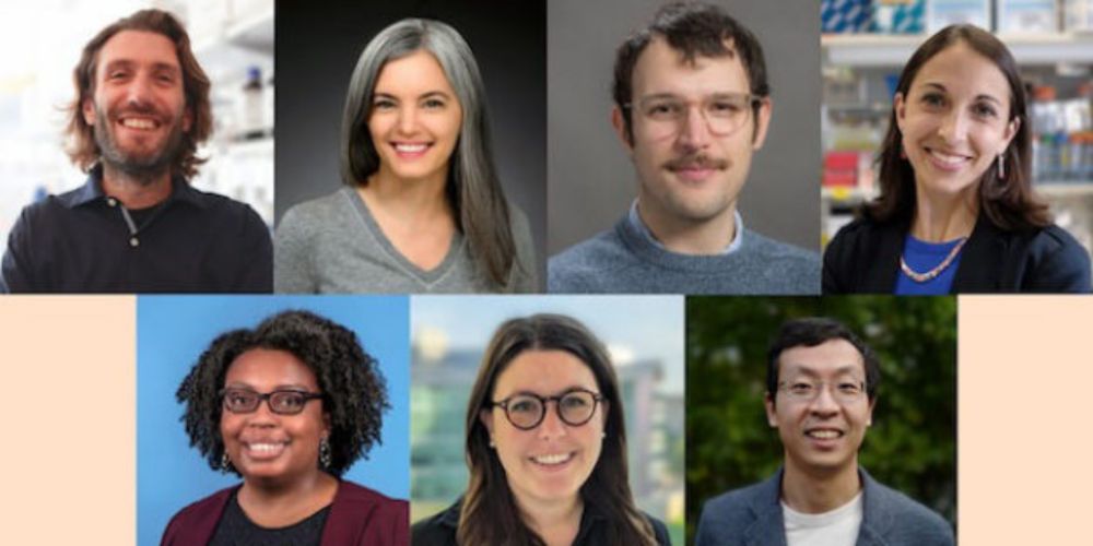 Announcing the 2024 Rita Allen Foundation Scholars - Rita Allen Foundation