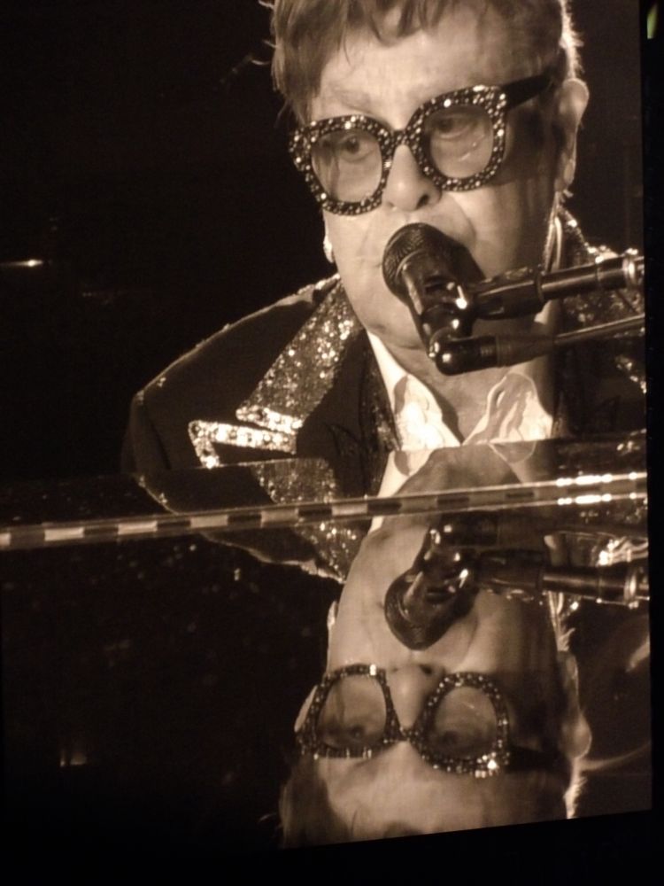 Reflection of Elton John