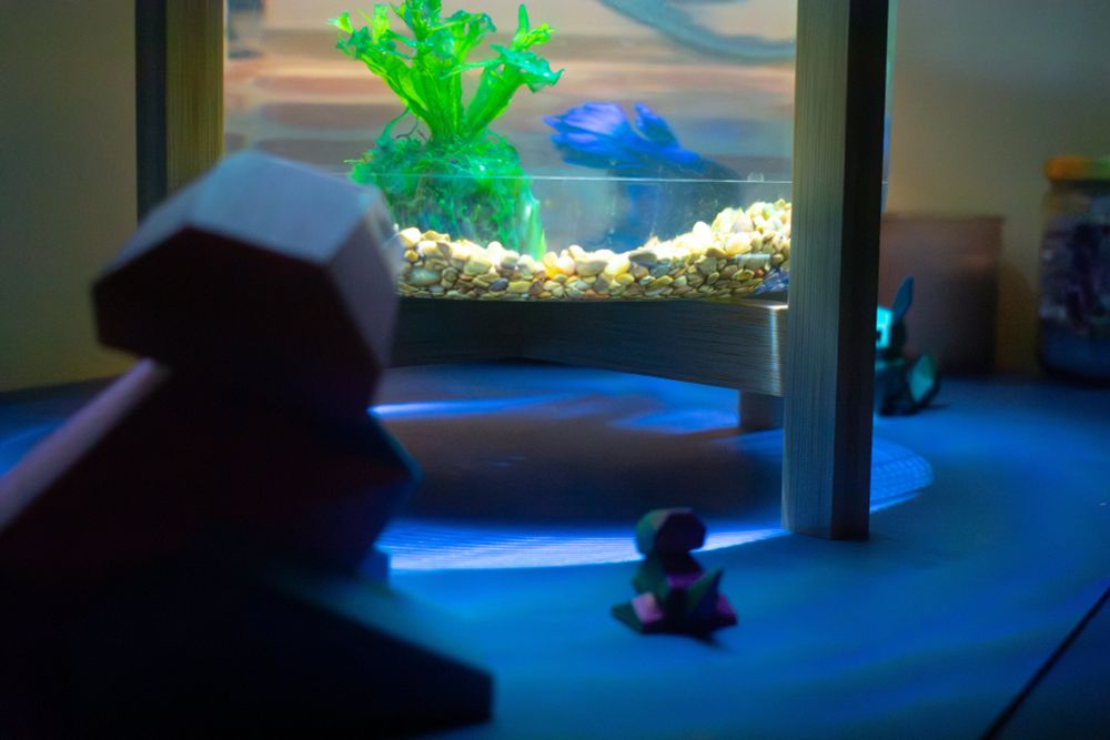 A large silhouette of a polygon Pokemon Porygon looms in front of the camera while a small silhouette of another Porygon stairs at a fish tank containing a Betta an a small plant.
