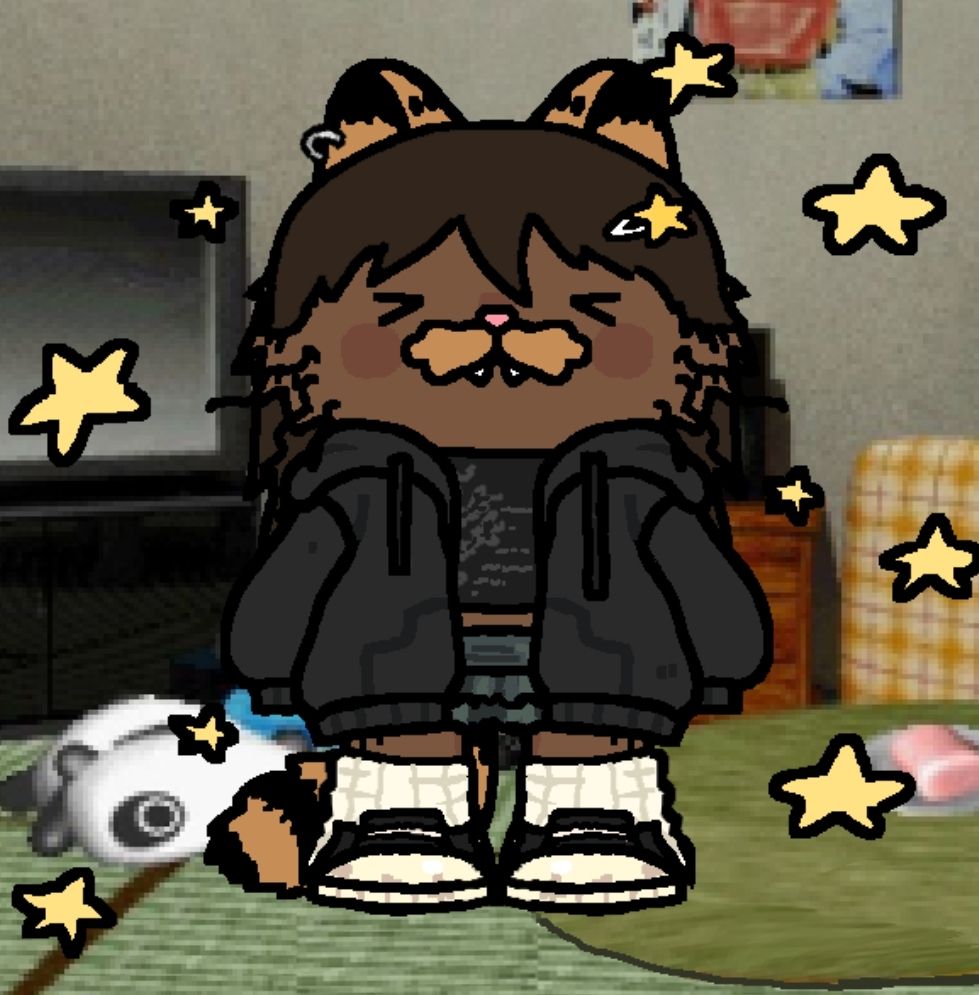 gatinho marrom tipo garfield