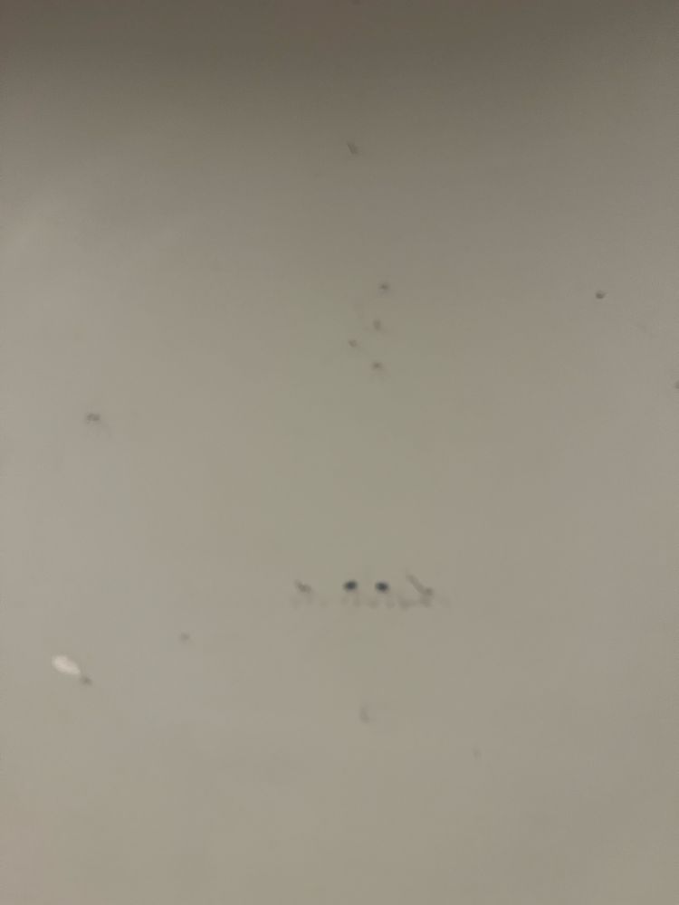 a denuded wall where only hooks are