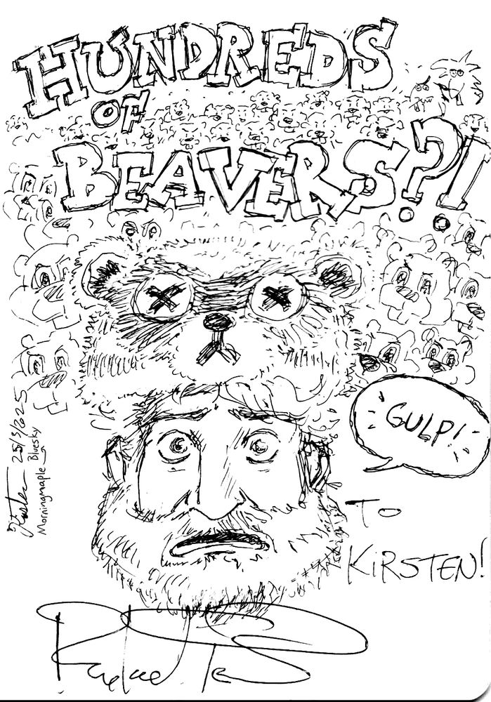 An illustration I drew in pen to be signed at a showing of the movie "Hundreds of Beavers." At the top of the page, I recreated the movie title, "Hundreds of Beavers," in the same font as the movie poster (but with an added exclamation point and question mark, making it "HUNDREDS OF BEAVERS?!"). The main character of the movie, Jean Kayak (played by Ryland Brickson Cole Tews)'s head sits centre stage (evoking a Looney Tunes title card), with a fearful expression. He's wearing his iconic raccoon hat. To the right of Jean is a speech bubble directed at him saying "GULP!"

Behind him are an innumerable amount of angry beaver heads ... including a tiny cameo from Dagget and Norbert, another famous pair of angry beavers.

To the side is my own signature, with my Bluesky username.

Beneath the illustration is Ryland Brickson Cole Tews' signature, with the words "TO KIRSTEN!" above it!