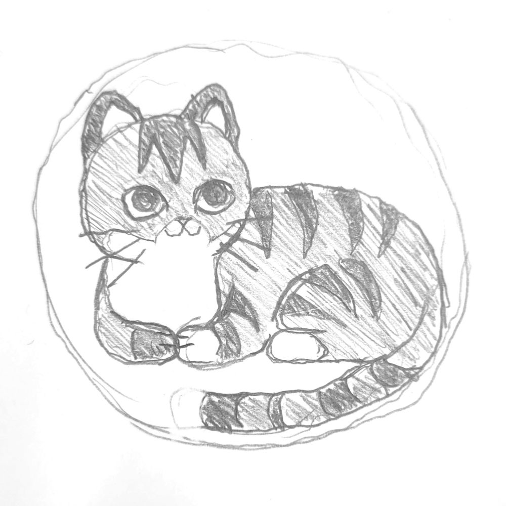 sketch of a little gray tabby cat.