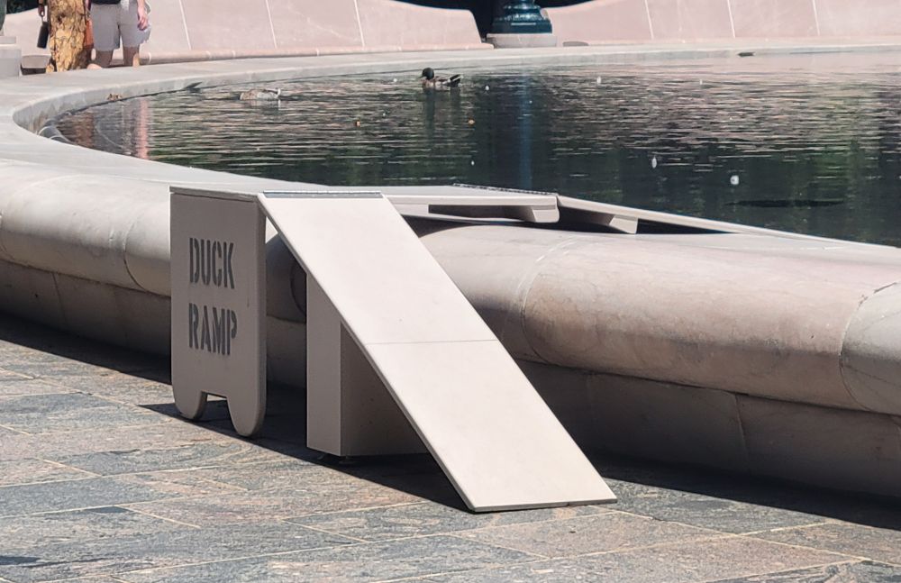 DUCK RAMP. it's a ramp, for ducks