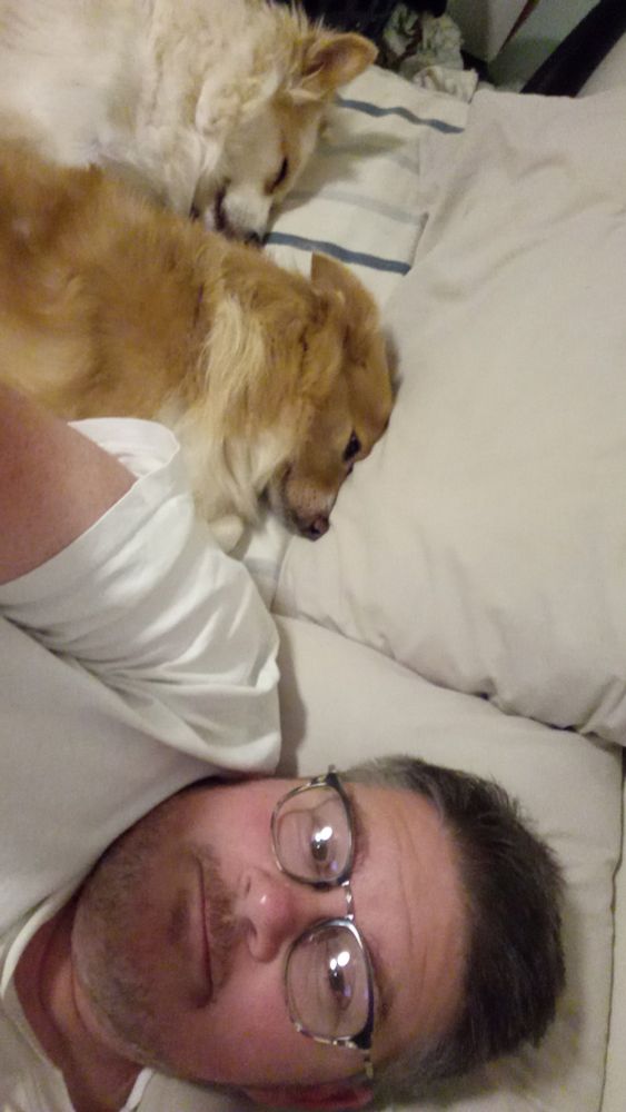 Me on my bed with two fluffy dogs lying alongside me snuggling each other.