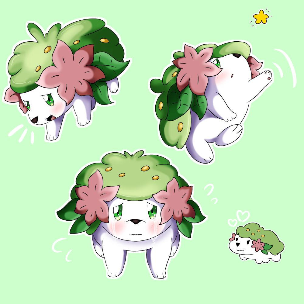 Shaymin💚🌺