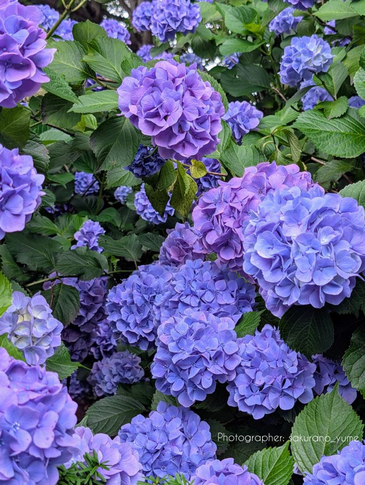 Post image (had no alt text on Bluesky)