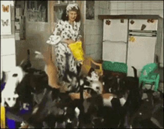 a woman in a dalmatian costume is feeding a bunch of cats