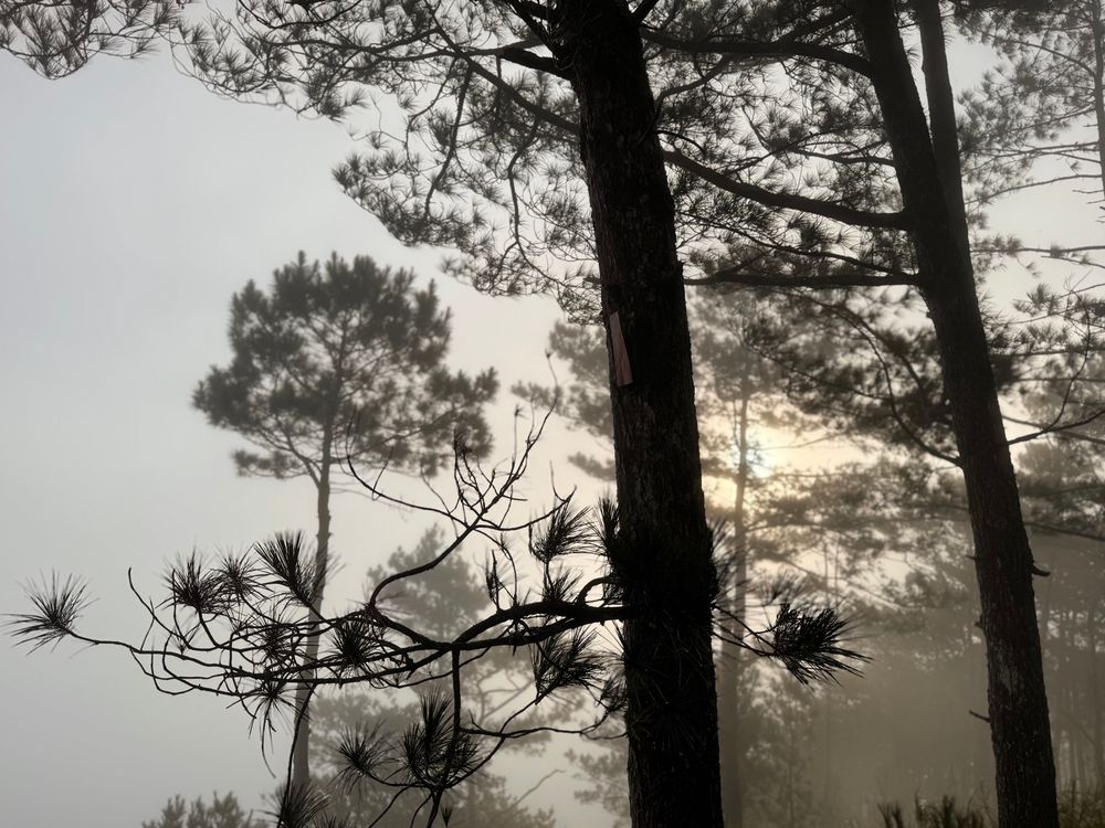 Sunrise from Kiltepan. 