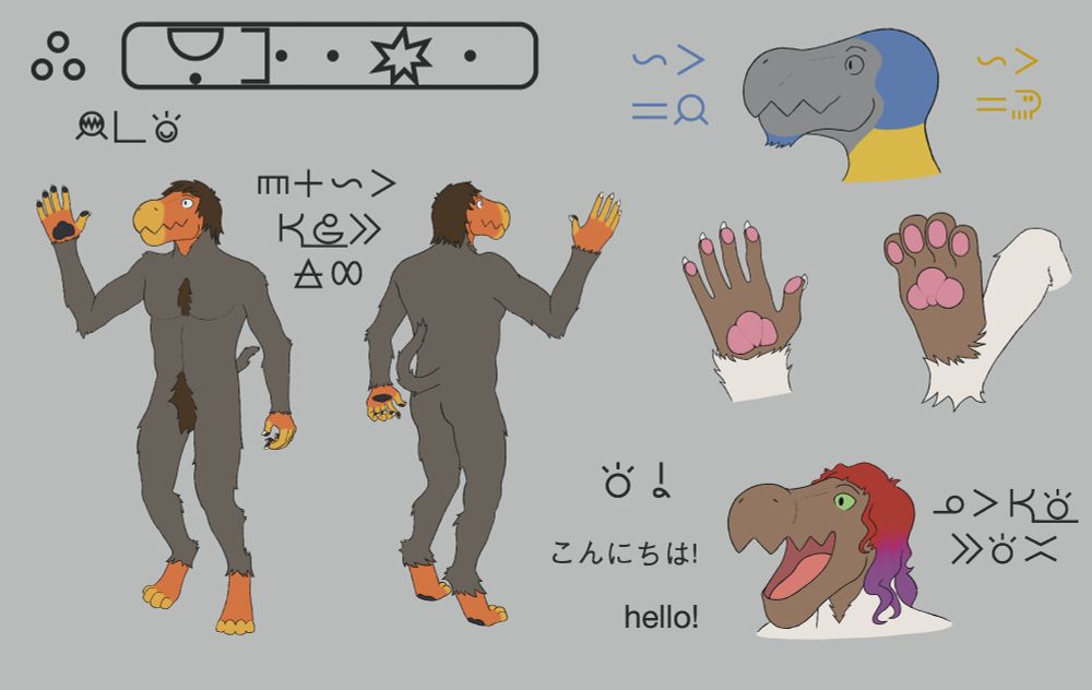 A reference sheet for a furry species named kulupu Usiki for the constructed language Toki Pona. This version is written in Toki Pona using sitelen pona. The name Usiki is written with the symbols for uta, sinpin, and kiki. Both the front and back of the body is shown on the left. The model has a long snout with cartoonishly jagged lips. Their body is covered in fur with the exception of the face, hands, and feet. Next to the full body model reads, "selo en linja li ken jo e kule ale." A diagram shows that Usiki have human-like hair on the head and chin and animal-like fur below the jawline. The hands are human-like with pads on the fingertips and palm. The legs are digitigrade with typical paw pads. On the bottom right, an Usiki says hello in Toki Pona, Japanese, and English alongside the text, "ona li ken toki e toki ante."