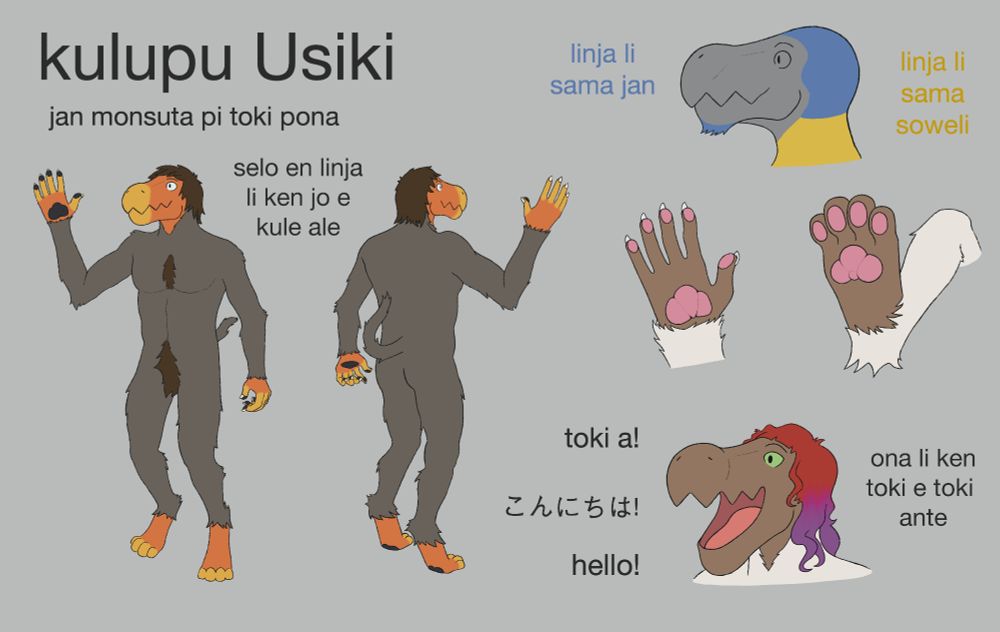 A reference sheet for a furry species named kulupu Usiki for the constructed language Toki Pona. This version is written in Toki Pona using the latin script. Both the front and back of the body is shown on the left. The model has a long snout with cartoonishly jagged lips. Their body is covered in fur with the exception of the face, hands, and feet. Next to the full body model reads, "selo en linja li ken jo e kule ale." A diagram shows that Usiki have human-like hair on the head and chin and animal-like fur below the jawline. The hands are human-like with pads on the fingertips and palm. The legs are digitigrade with typical paw pads. On the bottom right, an Usiki says hello in Toki Pona, Japanese, and English alongside the text, "ona li ken toki e toki ante."