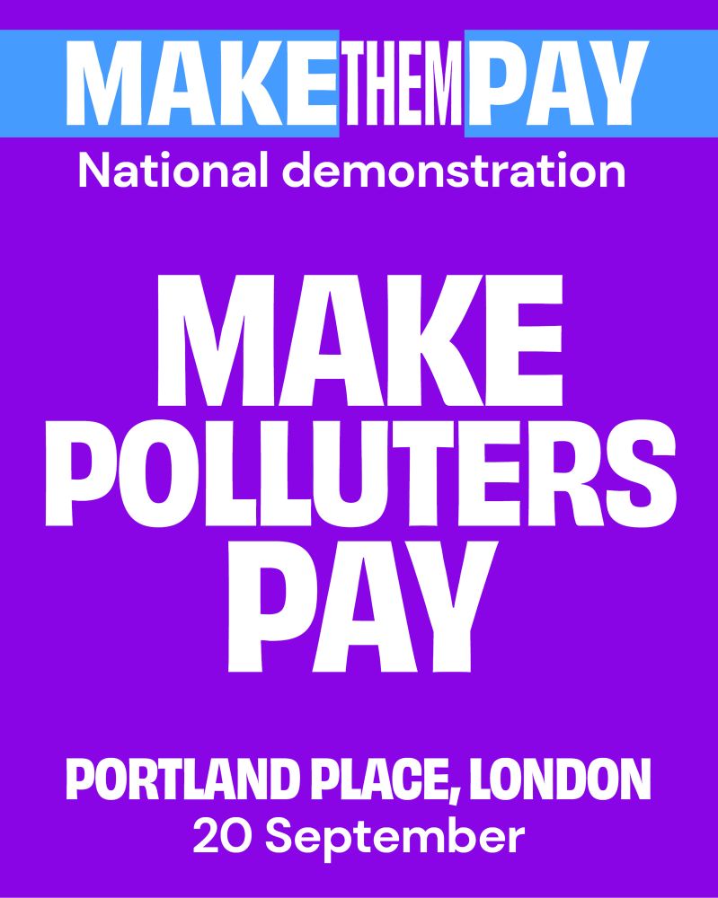Poster in purple with white text Make Polluters Pay 
