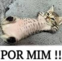 Gato filhote de pelagem rajada, deitado de barriga para cima, com as patas dianteiras atrás da cabeça. E abaixo da foto tem os dizeres: 'POR MIM!!' 