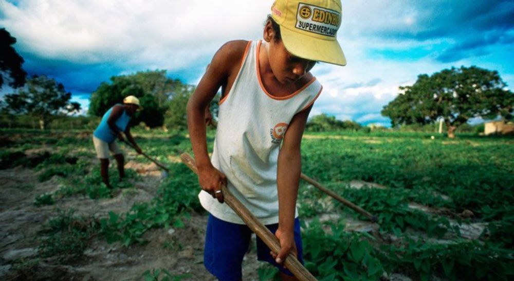 FAO: “Brasil está próximo de deixar Mapa da Fome”