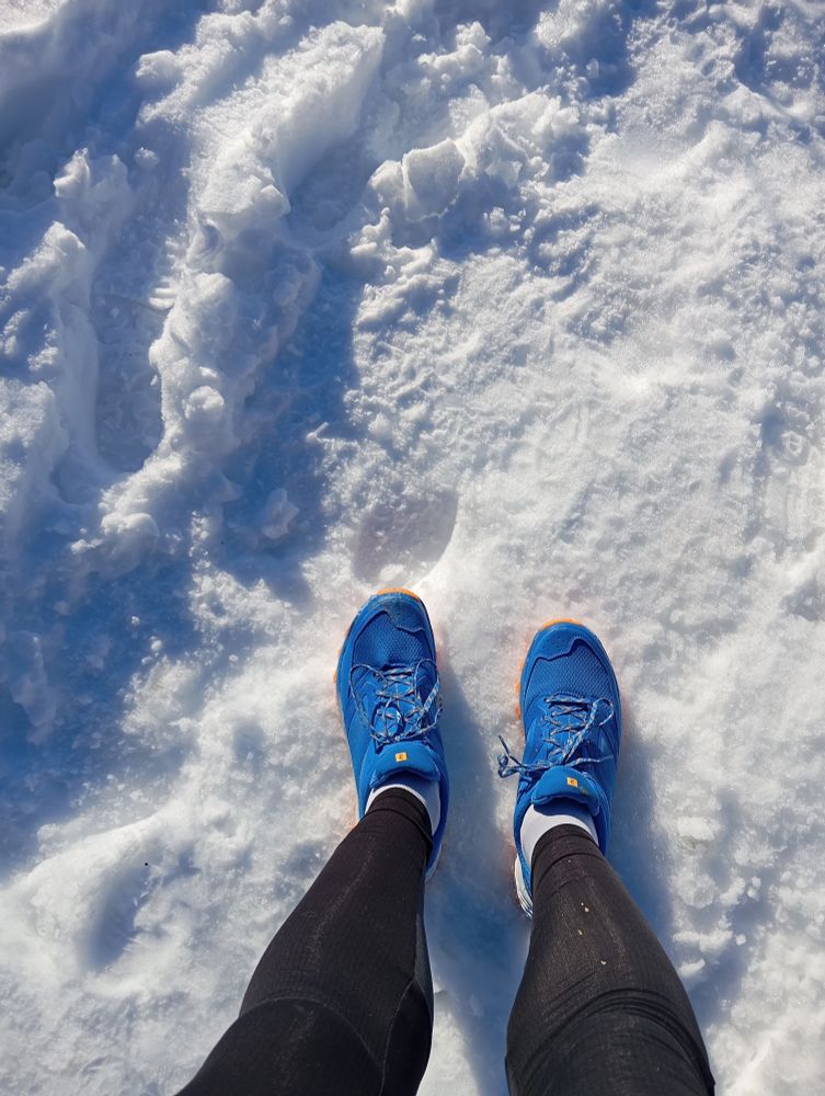 Chaussures qui courent vite sur la neige