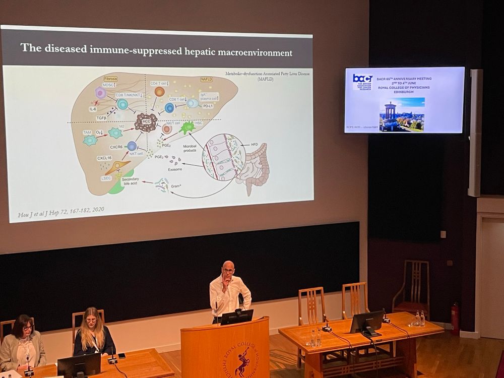 Derek Mann in a white shirt stands at the lecturn in front of a huge screen showing a cartoon of a liver indicating key cell types involved in fatty liver disease.