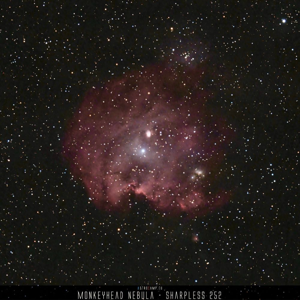 Monkey Head Nebula
