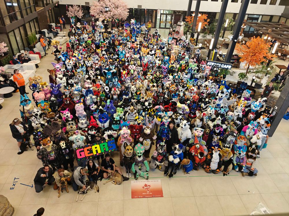 Overhead photo of fursuiters 
