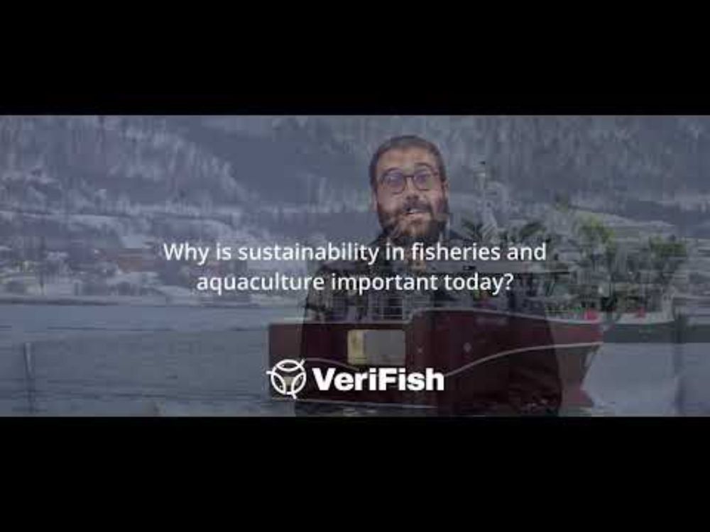 🎣 2 Questions, 6 Perspectives — Entry 3: Ixai Salvo