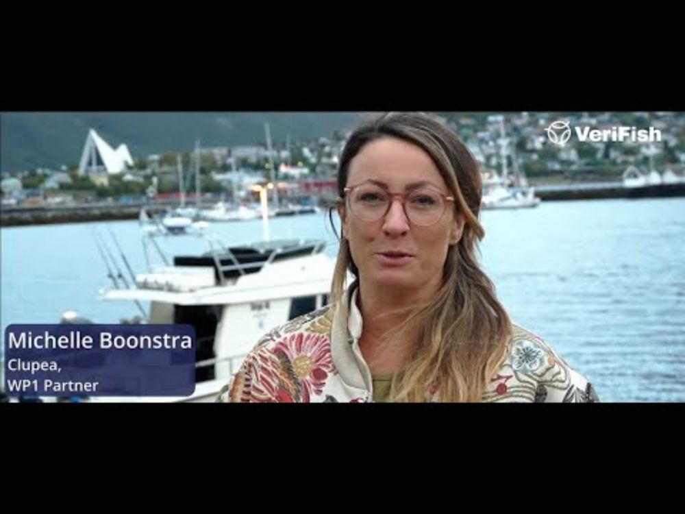 🎣 2 Questions – 6 Perspectives | Entry 2: Michelle Boonstra