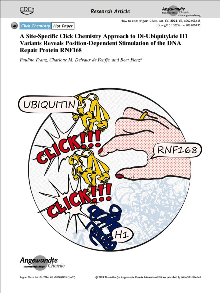 Frontispiece of Angewandte Chemie Int. Ed. showing a pop-art style drawing of protein structures and a hand symbolizing the protein RNF168.