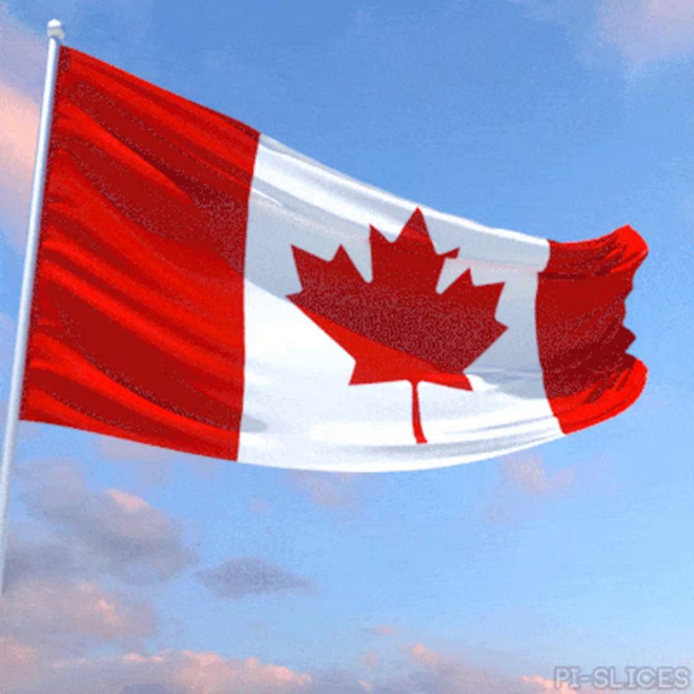 Canada Canadian Flag GIF