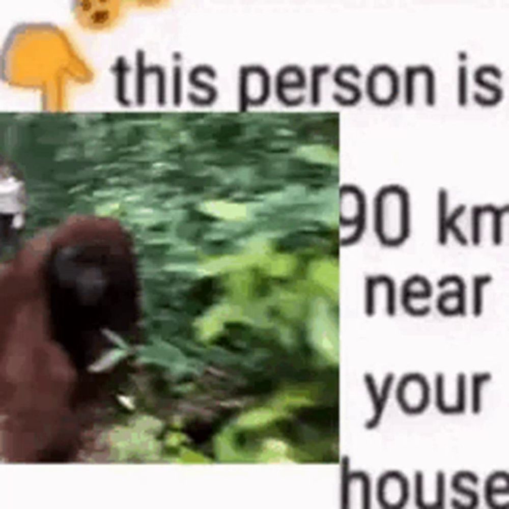 a picture of an orangutan and a picture of a person .