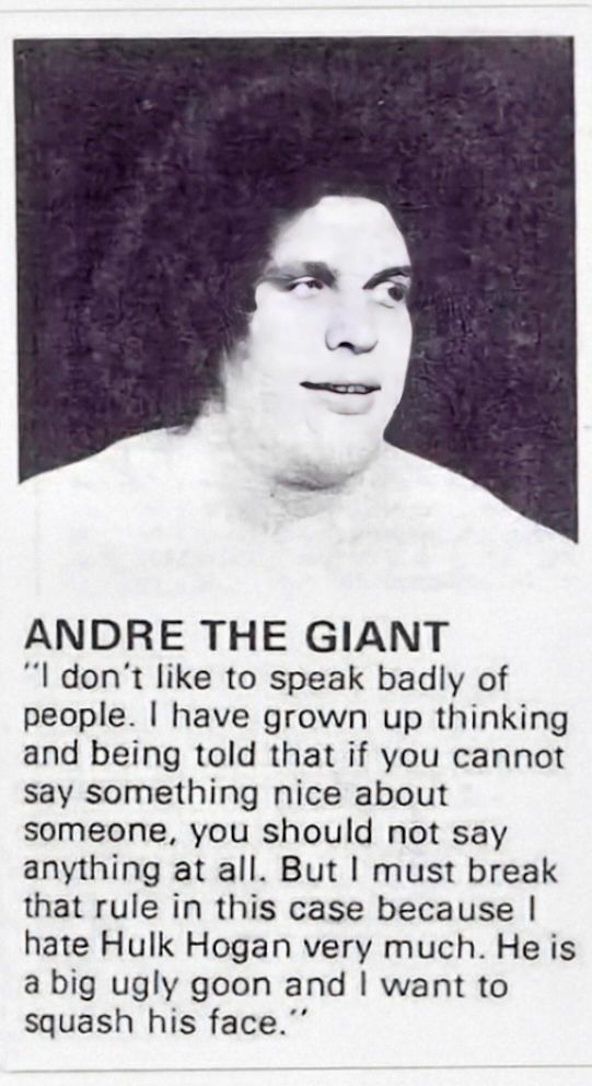 ANDRE THE GIANT

"I don't like to speak badly of people. I have grown up thinking and being told that if you cannot say something nice about someone, you should not say anything at all. But I must break that rule in this case because I hate Hulk Hogan very much. He is a big ugly goon and I want to squash his face.”