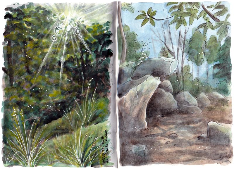 Two small watercolors in green and brown tones. On the left, the sun shing about green trees and grasses. On the right, huge rocks in a somewhat barren area in the middle of the forest.