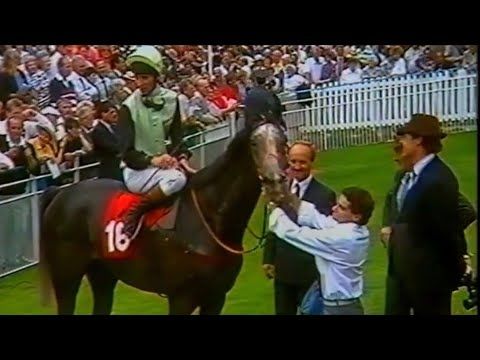Further Flight From His First Win to His Last. The Legendary Grey.Thanks for The Memories Racing HRL