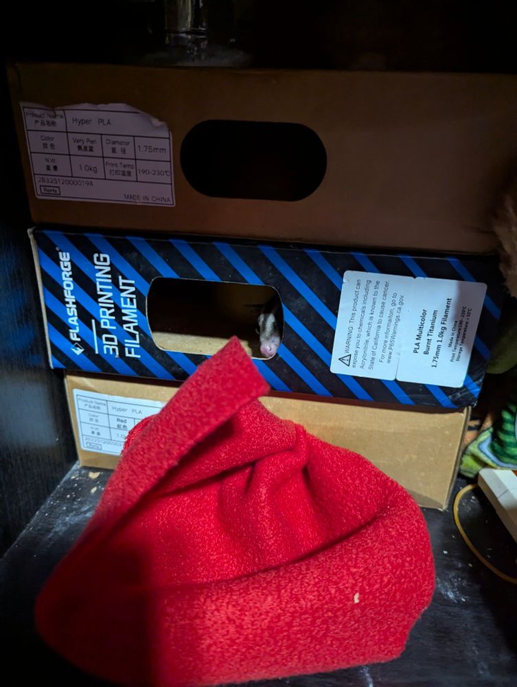 Goober in middle box sees the folded up fabric and is considering taking it for himseld