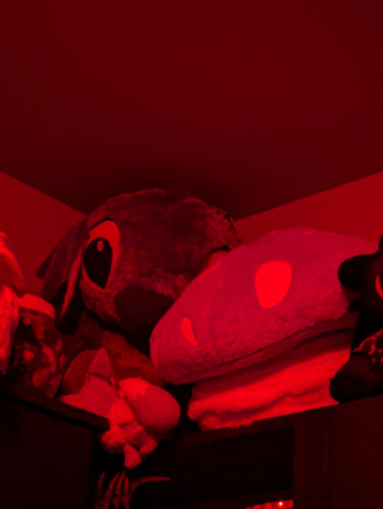 Goober normally hides where he can't be seen or heard. But if you look at the big stitch in the middle of the picture, I think goober is sitting on top of where Stitch's left ear is (right side, or the side with guy, the fungus) You can see goobers eyes and top of his body. I think he's *letting* me see him actually