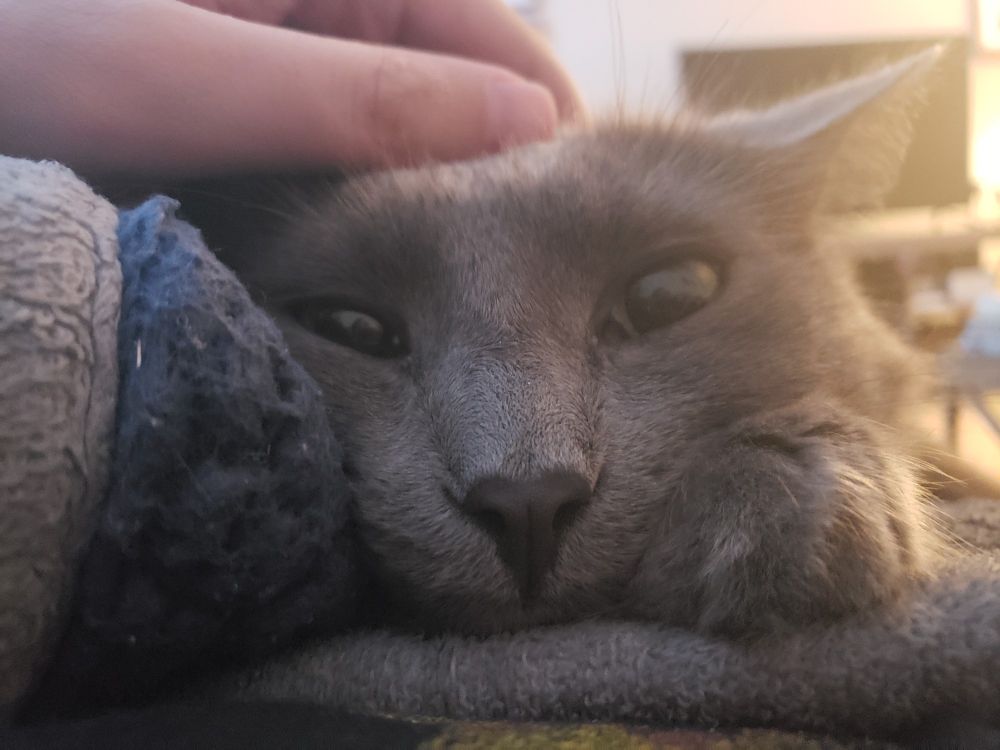 Five seconds before pain and destruction 