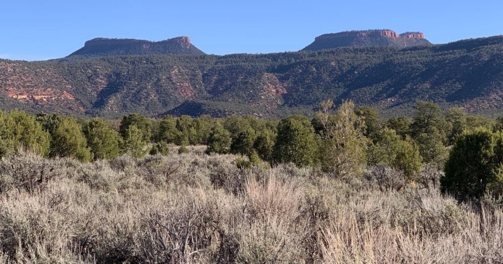 Federal appeals court considers Bears Ears, Grand Staircase-Escalante monument appeals