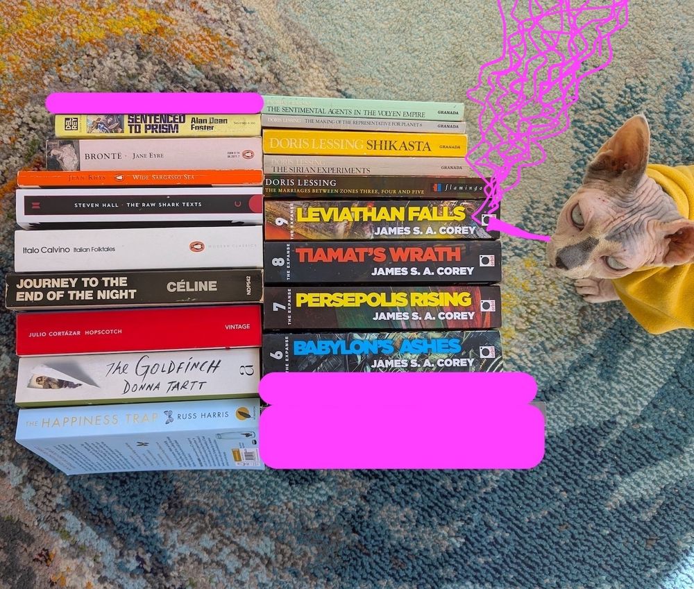 A collection of books on a violently colorful rug. An unimpressed looking sphynx in a yellow turtleneck stands nearby.

She's been given a hot pink cigarette emitting a hot pink cloud of smoke.

Some books have been hidden by hot pink rectangles.

The remaining books are: 

Alan Dean Foster's "Sentenced to Prism"
Charlotte Bronte's "Jane Eyre"
Jean Rhys' "Wide Sargasso Sea"
Steven Hall's "The Raw Shark Texts"
Italo Calvino's "Italian Folktales"
Louis-Ferdinand Céline's "Journey To The End of The Night"
Julio Cortazar's "Hopscotch"
Donna Tartt's "The Goldfinch"
Russ Harris' "The Happiness Trap"
Doris Lessing's "Re: Colonised Planet 5, Shikasta", "The Marriages Between Zones Three, Four and Five", "The Sirian Experiments", "The Making of the Representative for Planet 8", "Sentimental Agents in the Volyen Empire"
James S A Corey's "Babylon's Ashes", "Persepolis Rising", "Leviathan Falls", "Tiamat's Wrath"