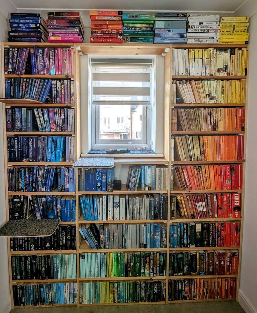 A wall entirely covered in book shelves apart from a hole for a window in the centre. The books are organised by colour, dark blues, purples and pinks at the top left, white and yellow at top right, orange, red and brown at bottom right, and light blues and greens at bottom left.

There are also some carpeted shelves that stick out from the book shelves, to allow cats to climb to the window.