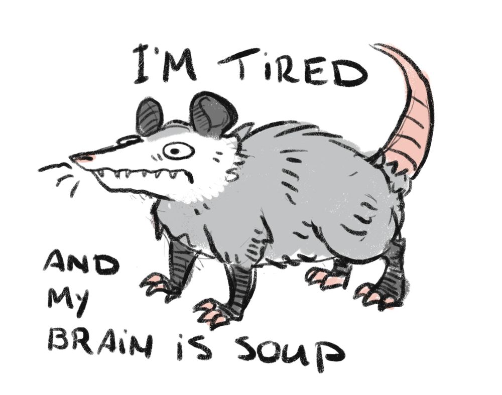 A drawing of a haunted looking possum alongside the text I’m tired and my brain is soup