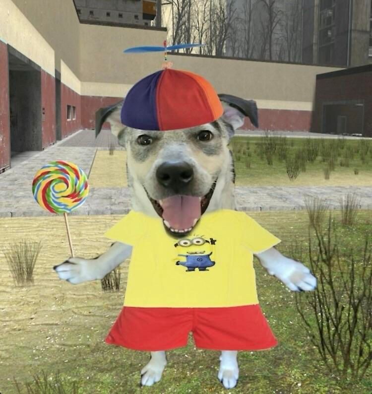 A dog dressed in a yellow shirt with a Minion graphic and red shorts stands in a barren outdoor setting. The dog wears a colorful propeller hat and holds a large lollipop, displaying a playful demeanor.